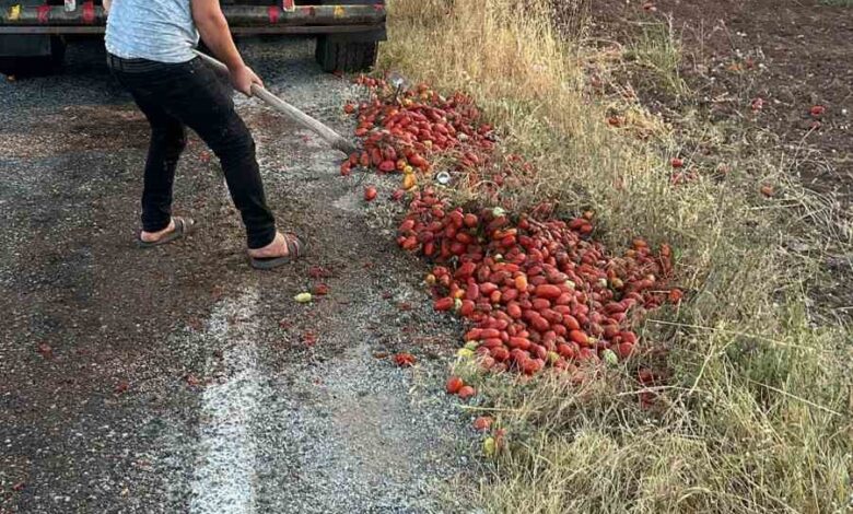 İzmir’deki yangını söndüren itfaiye erleri, Manisa’da yola saçılan domatesleri temizledi 1 izmirdeki yangini sonduren itfaiye erleri manisada yola sacilan domatesleri temizledi c8838f4 |