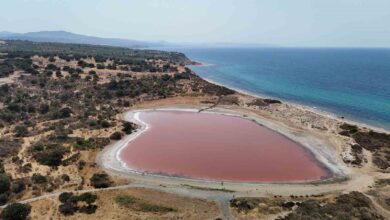 ozel 2 bin yillik antik liman kalpli pembe gole donustu e2054de |