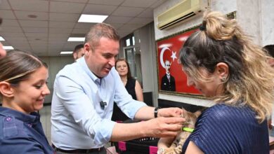 tedavisi tamamlanan yavru kedi biber sahibiyle bulustu 7dd3139 |