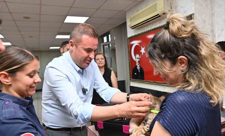 tedavisi tamamlanan yavru kedi biber sahibiyle bulustu 7dd3139 |