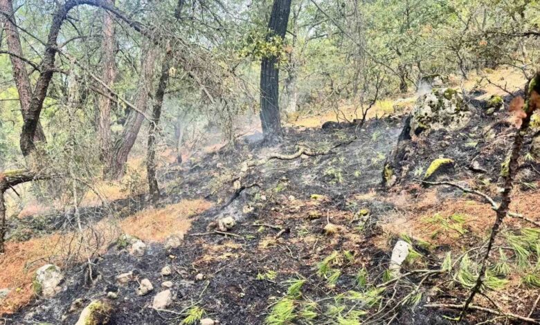 yildirim kaynakli orman yanginina havadan ve karadan mudahale f679a2f |