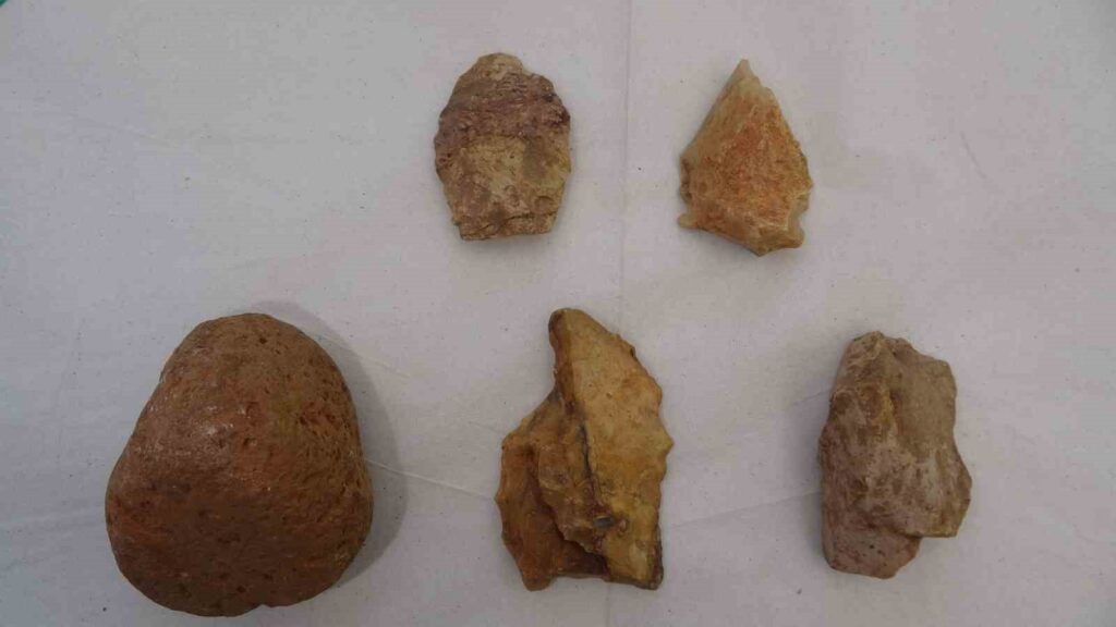 86 bin yillik magarada 25 bin bulguya ulasildi 3af2923 |