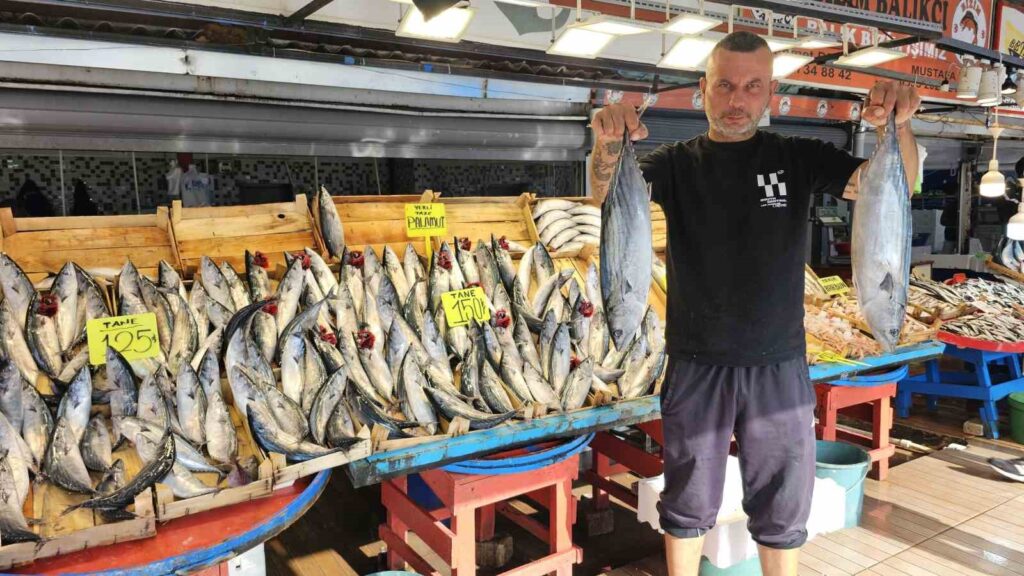 bandirma balik halinde palamut bollugu yasaniyor 8d1619a |