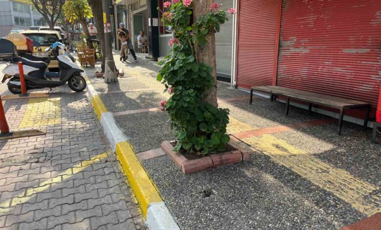 Bandırma’da şüpheli ölüm 1 bandirmada supheli olum 7a7a5ec |