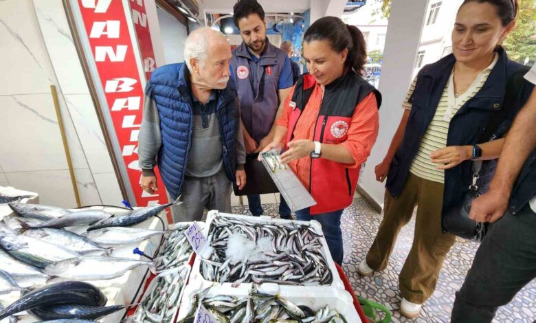 canakkalede balik denetimi yasal avlanma boylari ve hijyen kontrolleri yapildi 27f8758 |