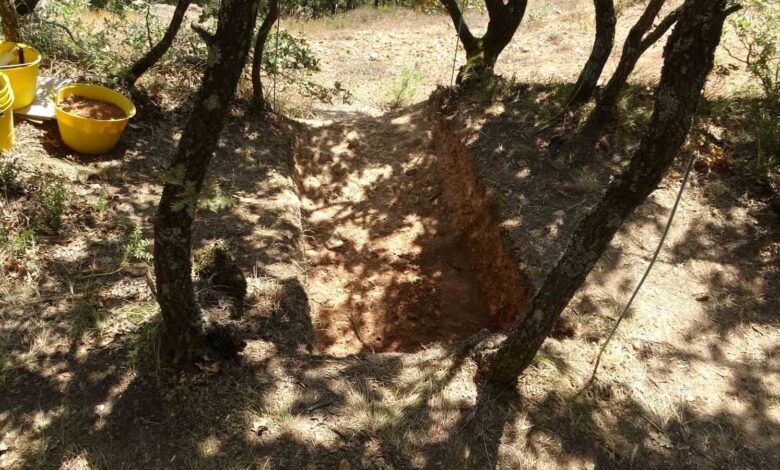 inkaya magarasinda tespit edilen 86 bin yillik yasam alani bolgesinde ilk kazi calismalari basladi d495052 |