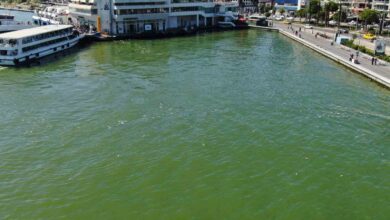 izmir korfezinde bilindik manzara yine binlerce olu balik goruldu 0e1005a |