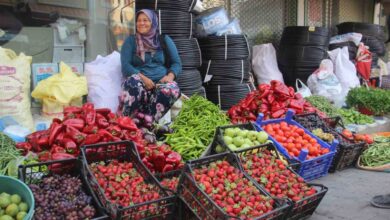 kaz daglarinda yetisen organik urunler ilce pazarinda satiliyor d884317 |