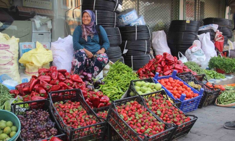 kaz daglarinda yetisen organik urunler ilce pazarinda satiliyor d884317 |