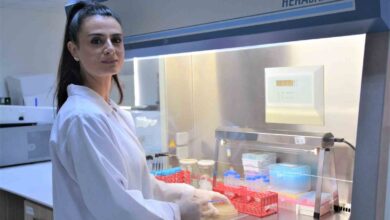 kesfedilen bakteriyofajlar yakin dogu universitesinin neu adiyla tescil edildi 3b775c9 |