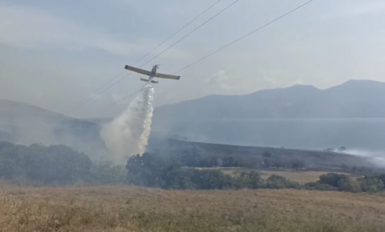 Paşalimanı Adası’nda yangın...Karadan ve havadan müdahale sürüyor 1 pasalimani adasinda yanginkaradan ve havadan mudahale suruyor ec3e9a4 |