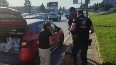 trafikte yavru kedi alarmi d6e63aa |