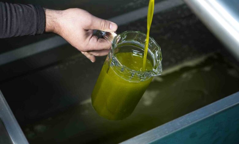 ahmet cetin zeytinyagi pahali olmayi hak eder 2a1f754 |