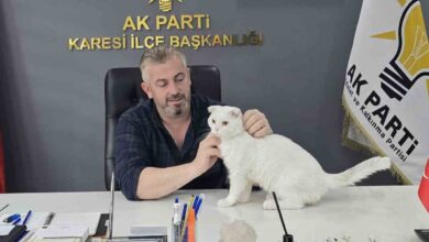 akbeyin yeni yuvasi ak parti oldu 01f834f e1728404785880 |