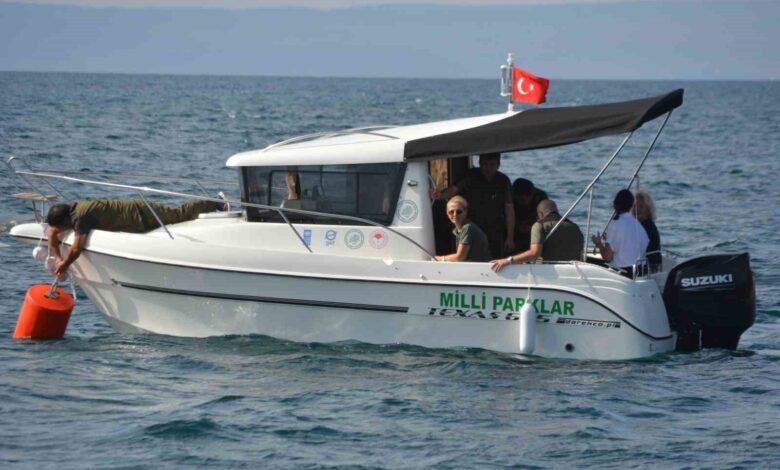 ayvalikta denizin akcigerleri deniz cayirlari icin tonozlu koruma 0f01490 |