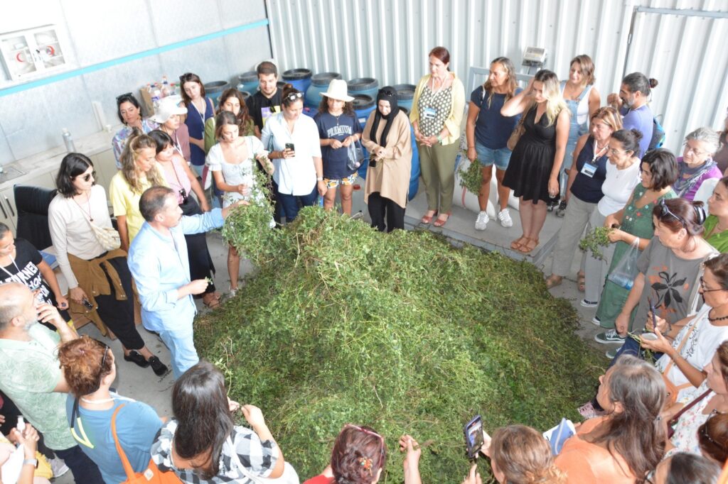 12. Tıbbi ve Aromatik Bitkiler Yetiştiriciliği Kursu sona erdi 3 bacemde tibbi ve aromatik bitkiler kursu tamamlandi 5 |