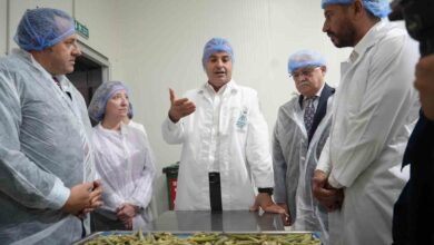 balikesir bamyasini cips yapip 15 kat deger kattilaramerika pazarina gonderdiler 14e7ea6 |