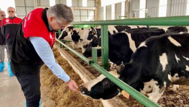 balikesirde ab onayli isletme sayisi artiyor 78e27f5 |