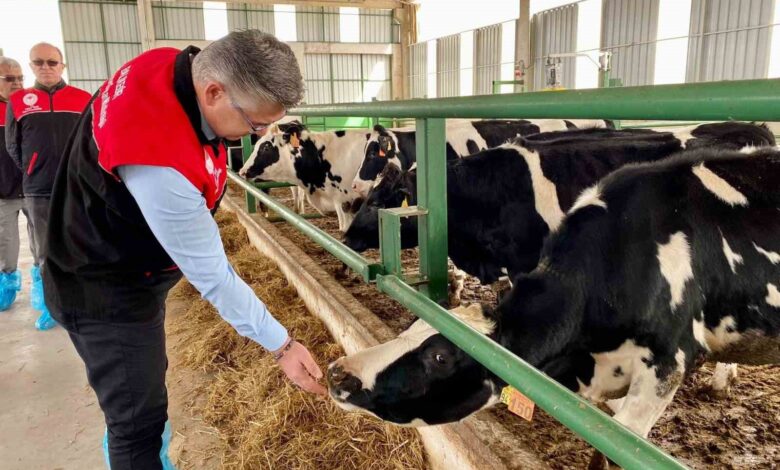 Balıkesir’de AB onaylı işletme sayısı artıyor 1 balikesirde ab onayli isletme sayisi artiyor 78e27f5 |