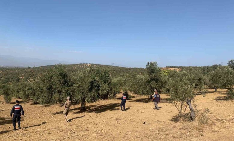 balikesirde zeytinliklere jandarma korumasi 7062e9a |