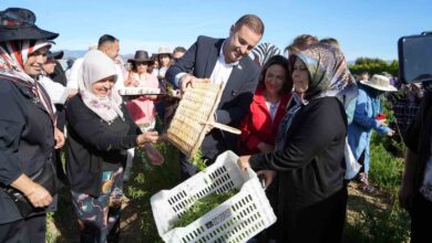 baskan akin kadin ciftcilerin yaninda 9b315fc |