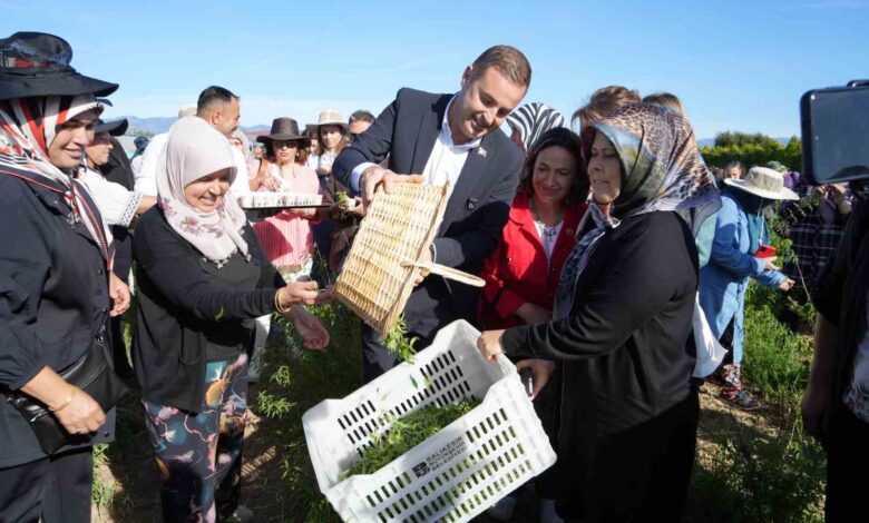 baskan akin kadin ciftcilerin yaninda 9b315fc |