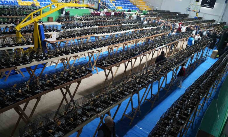 Dünyanın en yoğun katılımlı kanarya ırk yarışması Balıkesir’de yapıldı 1 dunyanin en yogun katilimli kanarya irk yarismasi balikesirde yapildi f571e25 |