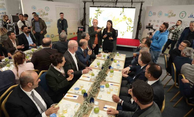 Edremit Zeytinyağı Tadım Festivali devam ediyor 1 edremit zeytinyagi tadim festivali devam ediyor 39bcaec |