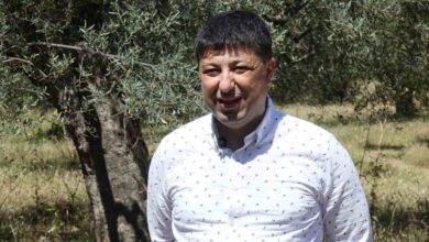 iste sahte zeytinyagini anlamanin puf noktalari bce66e4 |