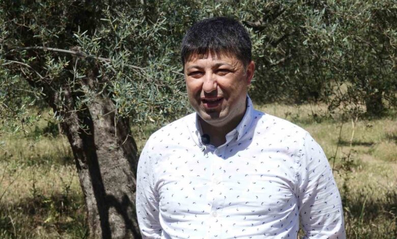 iste sahte zeytinyagini anlamanin puf noktalari bce66e4 |