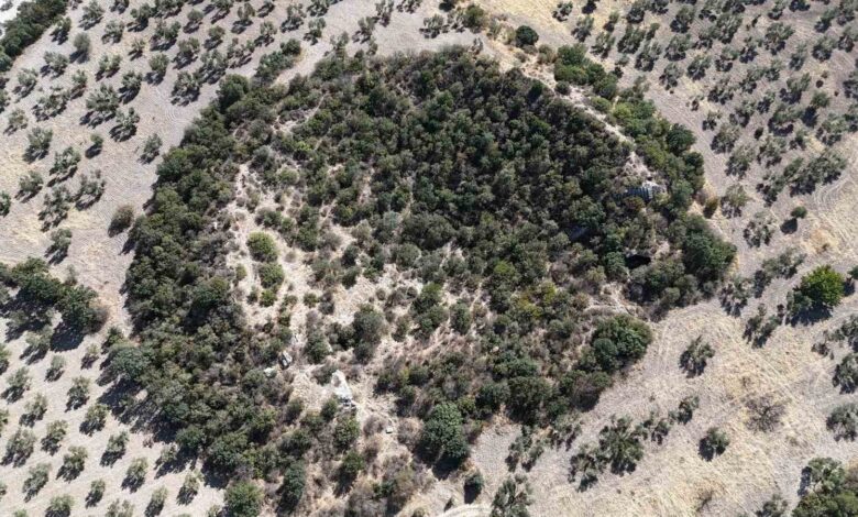 ozel 2 bin 400 yillik tiyatro 28caf90 |