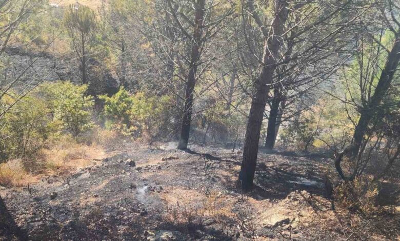 zeytinlik alanda cikan yangina havadan ve karadan mudahale edildi 8b4053d |