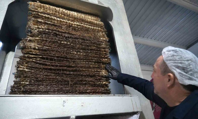 100 yillik sistemler ile tas baski zeytinyagi uretiliyor 21db4f6 |