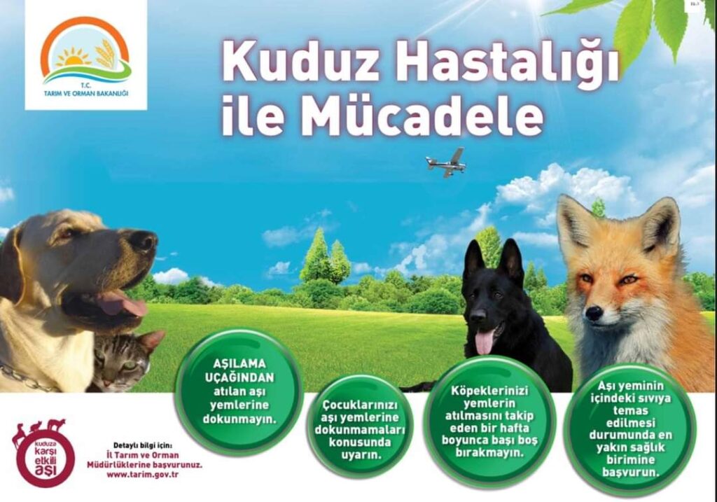 FB IMG 1732829646244 |