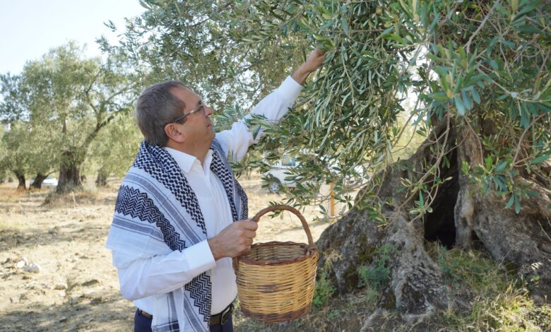 Mesut Ergin Dunya Zeytin Agaci Gunu Kutlu Olsun 2 |