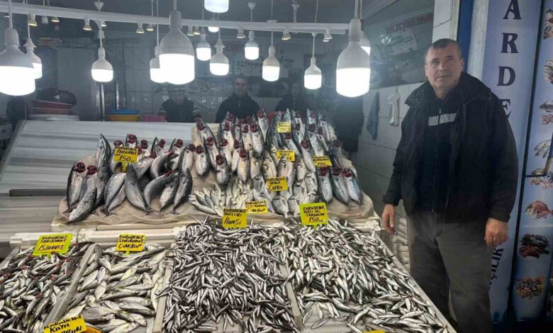 Balık tezgahlarında Hamsi, Çinekop ve Palamut bolluğu 1 balik tezgahlarinda hamsi cinekop ve palamut bollugu 60ea004 |
