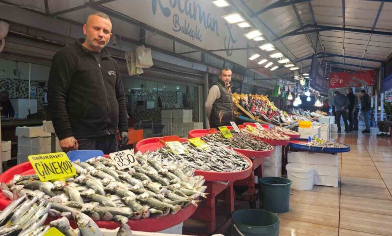 balik tezgahlarinda palamut yerini hamsi istavrit ve cinekopa birakiyor f75ad23 |