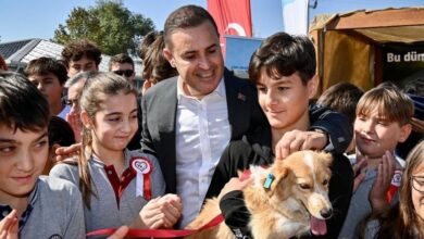 balikesir sokaktaki canlara sahip cikiyor sahipsiz birakmiyor a22728b |