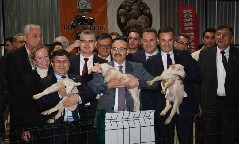 balikesir tarim ve hayvancilik fuarina buyuk ilgi 19251a1 |