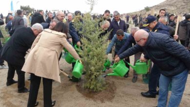 canakkalede milli agaclandirma gunu cercevesinde 34 bin 500 bin fidan toprakla bulustu 0be9b8d |