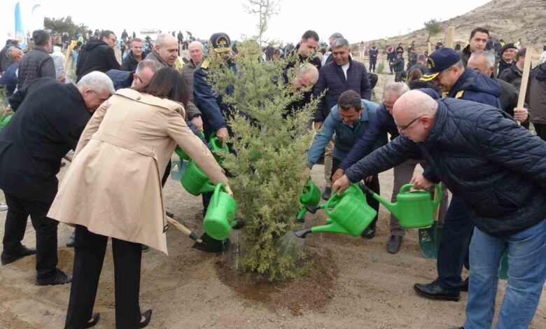 canakkalede milli agaclandirma gunu cercevesinde 34 bin 500 bin fidan toprakla bulustu 0be9b8d |