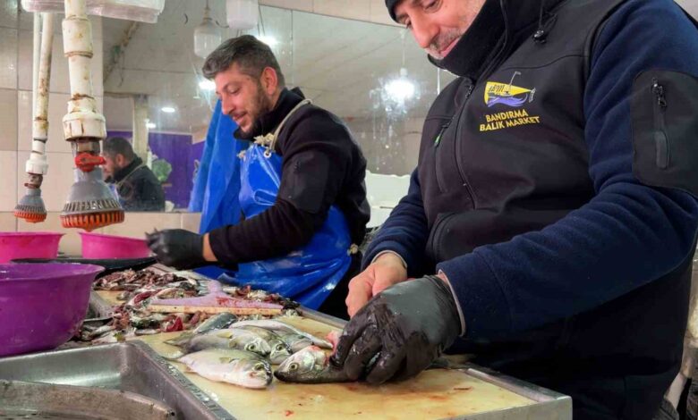 cinekop ve hamsi tezgahlarda palamuda veda zamani 8d6a2e2 |