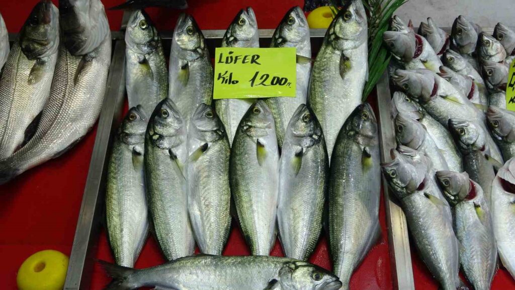 denizlerin prensi lufer 1200 liradan tezgahta 9b315fc |