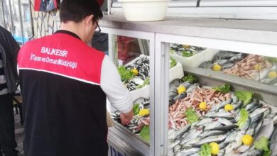 edremitte tarim mudurlugu balikcilara goz actirmiyor eea6e1c |