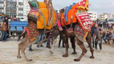 havut hayri gures severleri bulusturdu 450b76f |