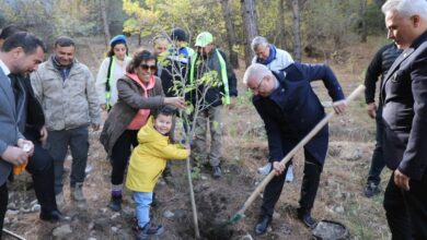 kazdaglarinda ataturkun anisina fidanlar toprakla bulustu e69969d |