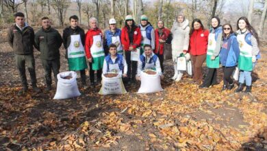manyasta 200 kilo kayin tohumu toprakla bulustu c96e4c3 |