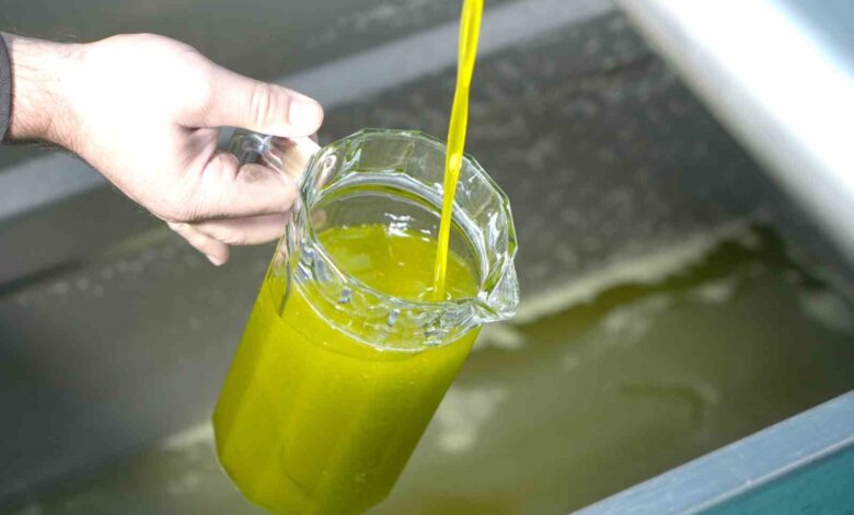 Zeytinyağı alırken dikkat, sahtesi nasıl anlaşılır 1 zeytinyagi alirken dikkat sahtesi nasil anlasilir 957f297 |