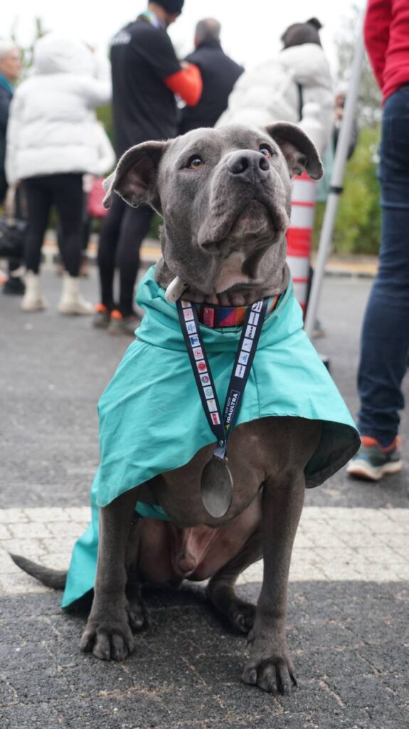 Can Dost ta İdaultra da Şampiyon 5 20241202 153055 |