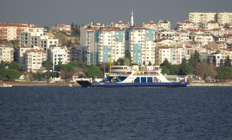 AW345982 01 |